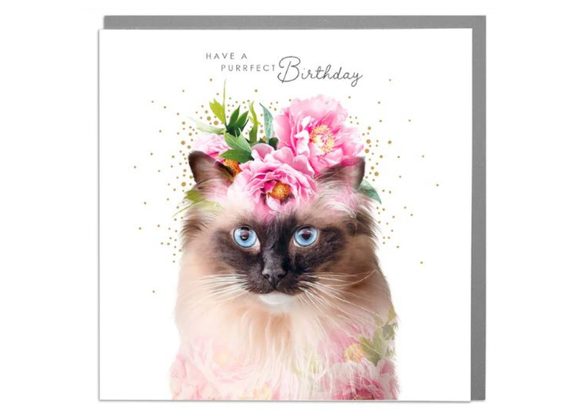 Have a Purrfect Birthday - Card by Lola Design
