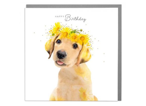 Labrador Birthday Card by Lola Design