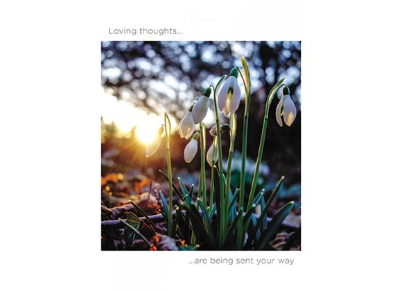 Loving thoughts Sympathy Card