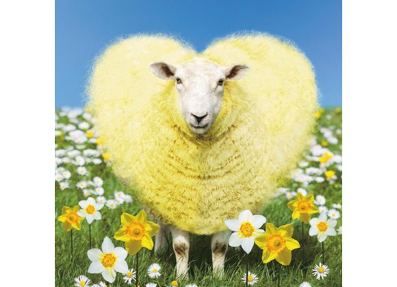 Spring Sheep Easter Card