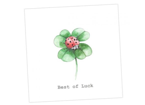 Good Luck Card by Crumble & Core - Ladybird 
