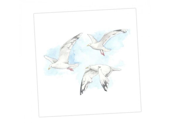 Seagulls blank Card by Crumble & Core