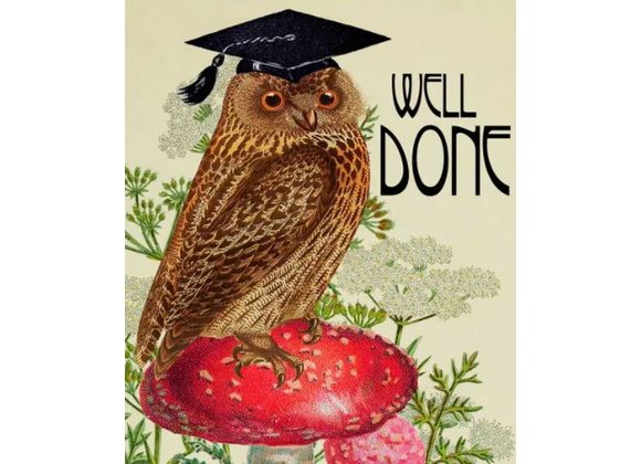 Well Done card by Madame Treacle - Wise Owl