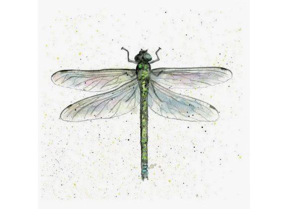 Dragonfly Greeting Card by Sarah Boddy