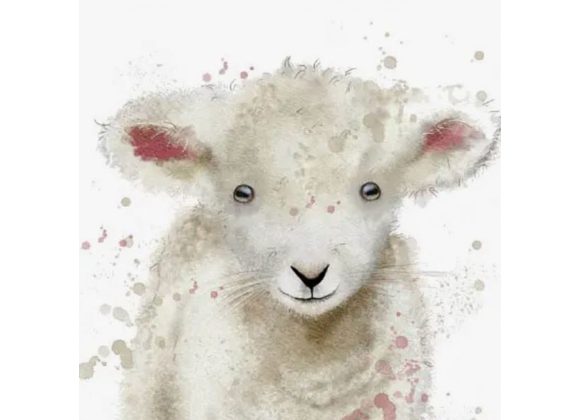 Lamb Greeting Card by Sarah Boddy