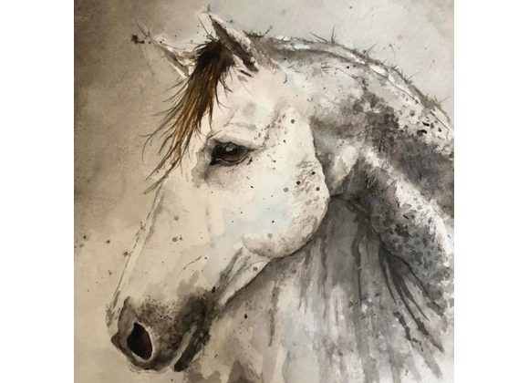 Horse Greeting Card by Sarah Boddy