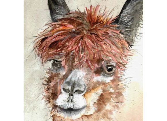 Alpaca Greeting Card by Sarah Boddy