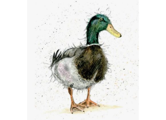 Duck Greeting Card by Sarah Boddy