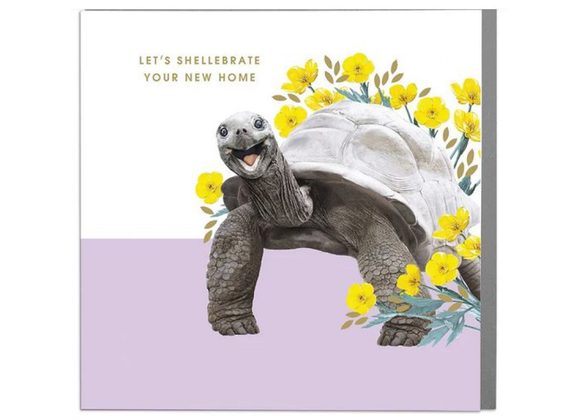 Tortoise - A New Home Card by Lola Design