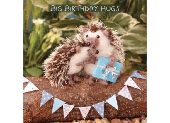 BIG BIRTHDAY HUGS...