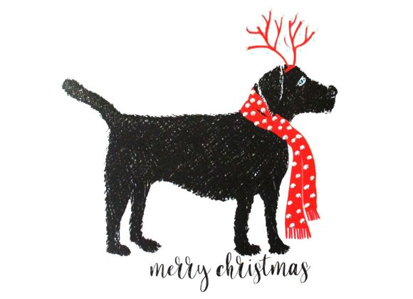 Christmas Labrador  by English Graphics