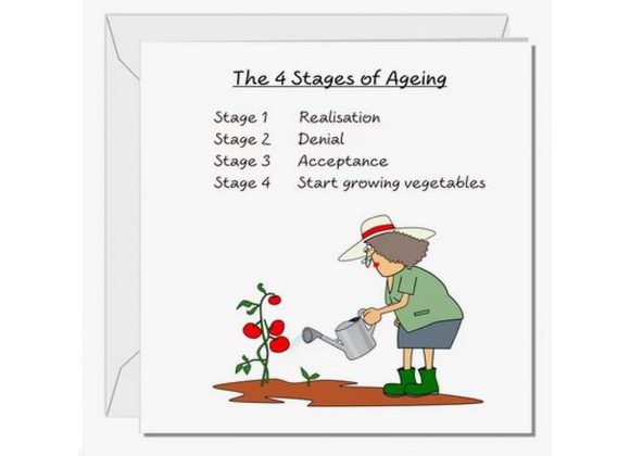 Birthday Card - Four Stages Ageing