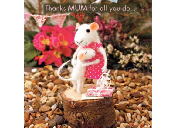 Thanks MUM for all you do...  Mother's Day card