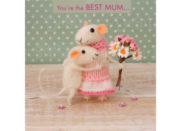 You're the BEST MUM ...