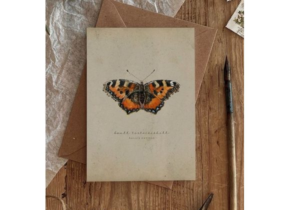 Small Tortoiseshell Butterfly card by Brooke Marie