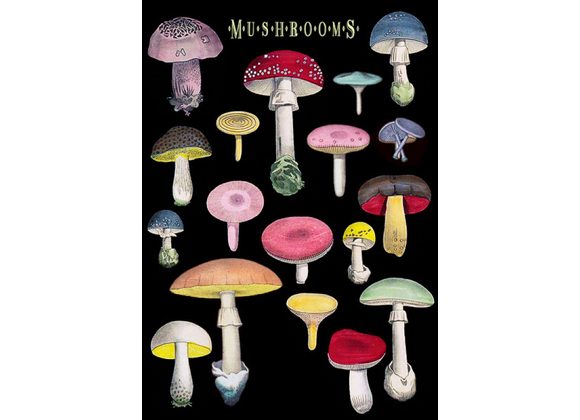 Mushrooms Card by Madame Treacle