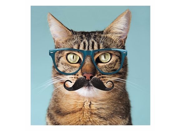 Hipster Cat Card 