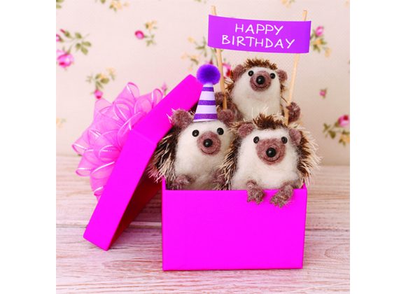 Hedgehogs Present Box - Happy Birthday