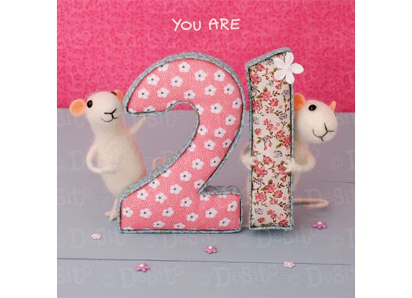 You are 21 - Mice