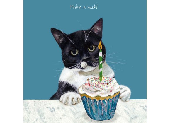 Black and White Cat Birthday Card