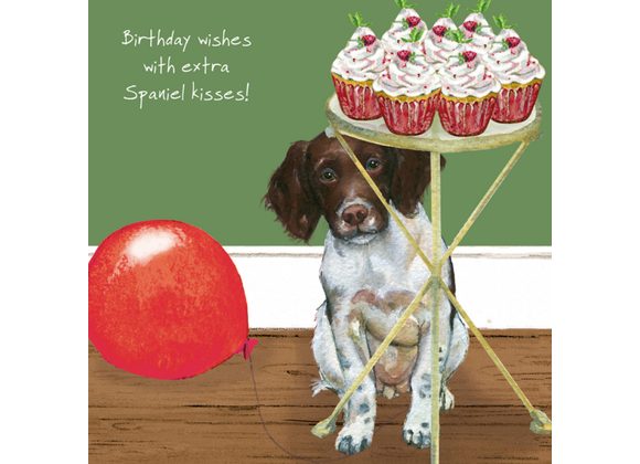 Springer Spaniel Kisses Greeting Card