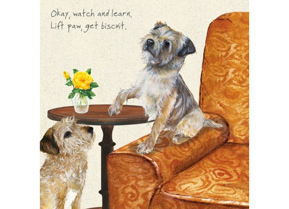 Border Terriers Greeting Card