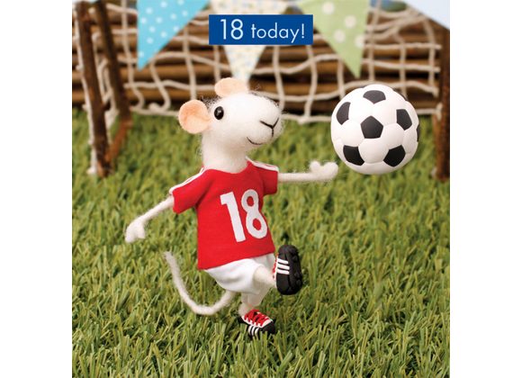 18 Today - Mouse Footballer