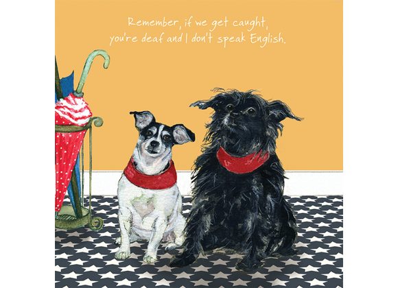 Terriers Greeting Card by The Little Dog Laughed