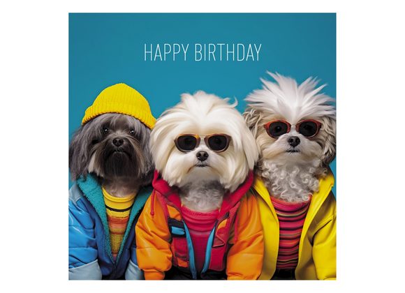 Happy Birthday Dogs - Coola Coola Card