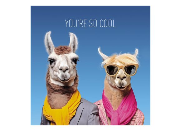 You're So Cool Llamas - Coola Coola Card