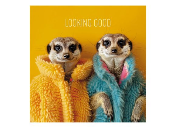 Looking Good Meerkats - Coola Coola Card