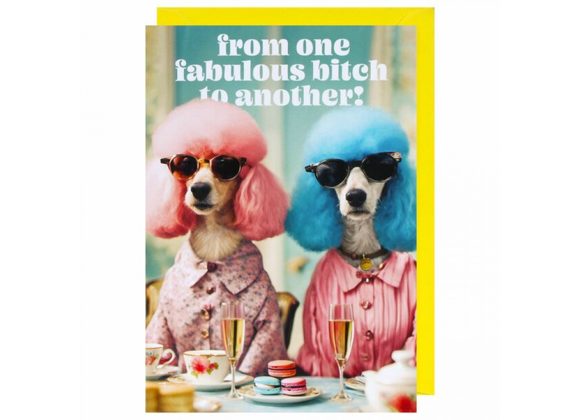 from one fabulous bitch to another! - Birthday Card