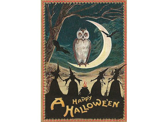 Halloween Owl- Halloween Card