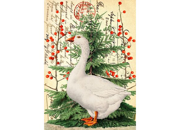 Christmas Goose - Christmas Card By Madame Treacle