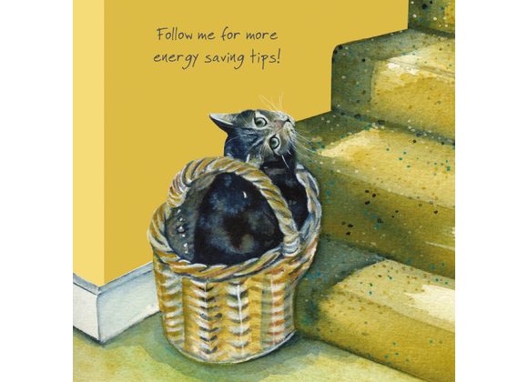 Tabby Cat Greetings Card