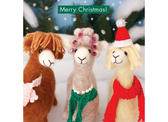 Alpacas Merry Christmas!