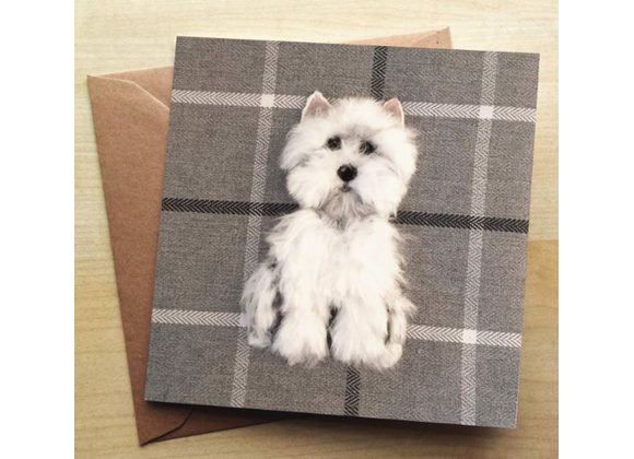 Westie Card by Sharon Salt