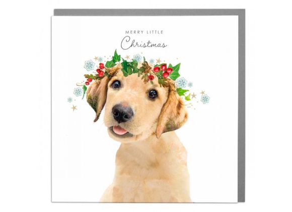 Labrador Christmas Card by Lola Design