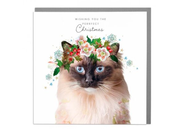 Cat Christmas Card by Lola Design