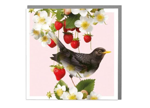 Blackbird & Strawberries - Blank Card by Lola Design