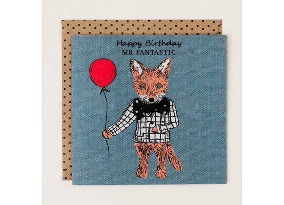 Happy Birthday Mr Fantastic by Apple & Clover