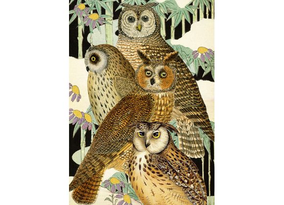Owls in the Japanese Garden - Card by Madame Treacle