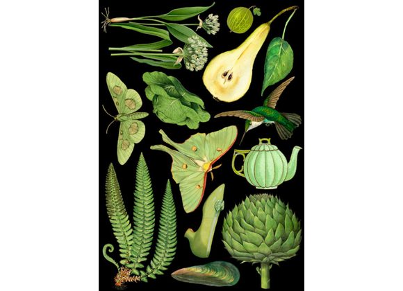 Green - Card by Madame Treacle
