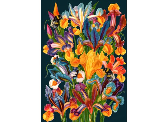 Midnight Iris, Card by Madame Treacle