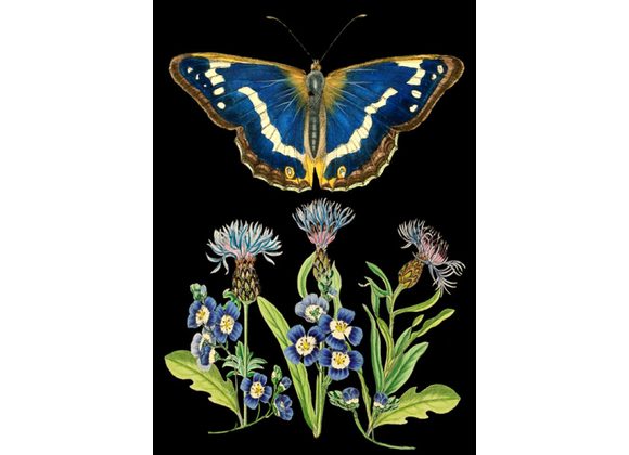 Blue Butterfly, Card by Madame Treacle