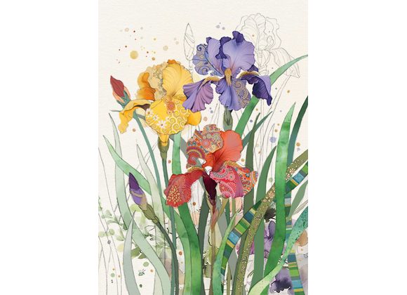 Mixed Irises - Bug Art Card