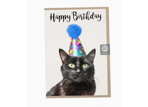 Black Cat Birthday Card by Postcard Prints