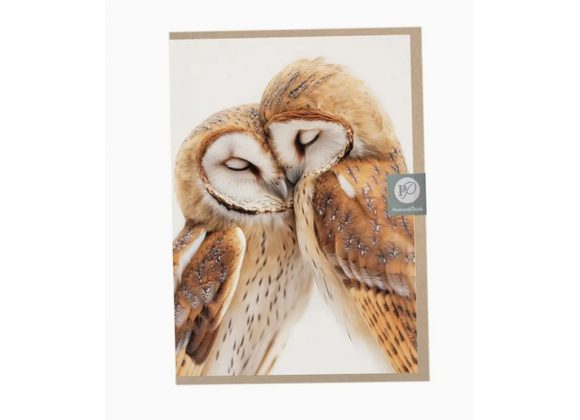 Cuddling Barn Owls Card by Postcard Prints