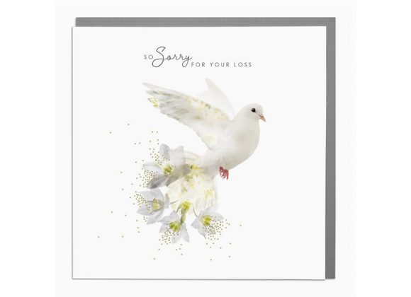 Dove - So Sorry For Your Loss Card by Lola Design