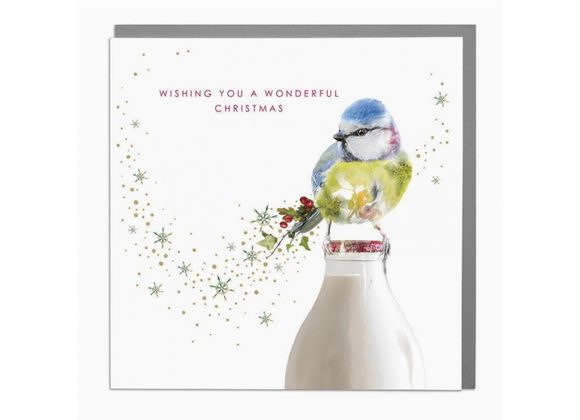 Blue Tit Christmas Card by Lola Design